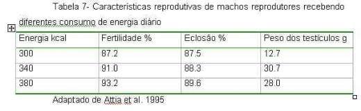 Exigências Nutricionais de Proteína e Energia para Galos Reprodutores de Corte na Fase de Produção - Image 8