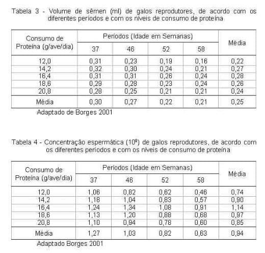 Exigências Nutricionais de Proteína e Energia para Galos Reprodutores de Corte na Fase de Produção - Image 3