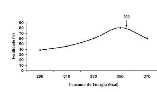 Exigências Nutricionais de Proteína e Energia para Galos Reprodutores de Corte na Fase de Produção - Image 7
