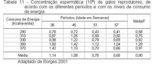 Exigências Nutricionais de Proteína e Energia para Galos Reprodutores de Corte na Fase de Produção - Image 12