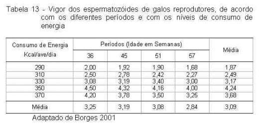 Exigências Nutricionais de Proteína e Energia para Galos Reprodutores de Corte na Fase de Produção - Image 13