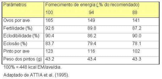 Nutrição de Matrizes para a Máxima Produtividade - Image 11