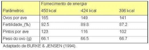 Nutrição de Matrizes para a Máxima Produtividade - Image 9