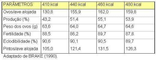 Nutrição de Matrizes para a Máxima Produtividade - Image 10