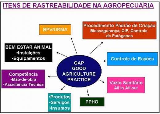 A rastreabilidade na indústria avícola - Image 4