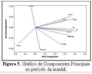 Utilização de Imagens Termográficas na Produção de Frangos de Corte - Image 4