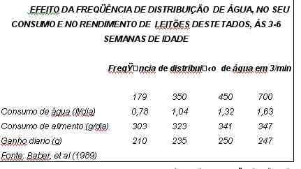 A água como nutriente na alimentação do porco - Image 3