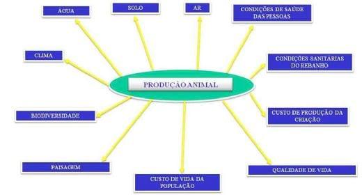 Impacto ambiental das produções animais - Image 1