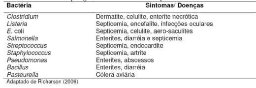 A importância do controle microbiológico em rações para aves - Image 18