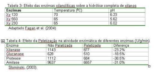 Uso de Complexo Enzimático em Frangos de Corte - Image 3
