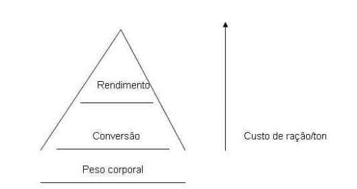 Exigências Nutricionais de Perus de Corte - Image 5