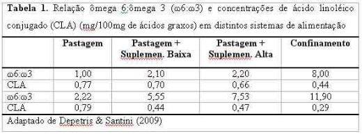 Ácidos Graxos na carne bovina: confinamento VS Pastoreio - Image 2