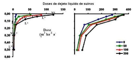 Uso de estercos como fertilizante e o potencial impacto nos recursos hídricos superficiais e subterrâneos - Image 7