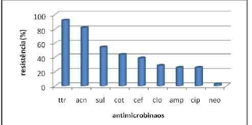 A Importância da Água no Manejo Sanitário Animal - Image 9