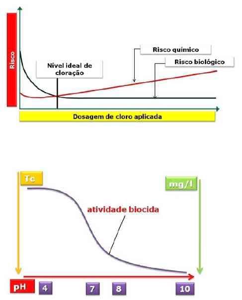 Uso e Manejo da Cloração de Água na Atividade Pecuária - Image 6
