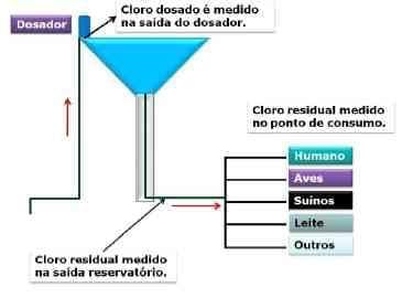 Uso e Manejo da Cloração de Água na Atividade Pecuária - Image 12