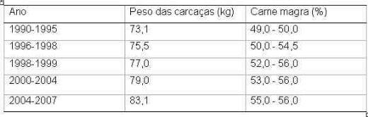 Suínos abatidos tardiamente - Image 2