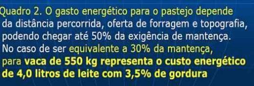 Produzir leite não é tarefa fácil, a começar pela alimentação da vaca - Image 3