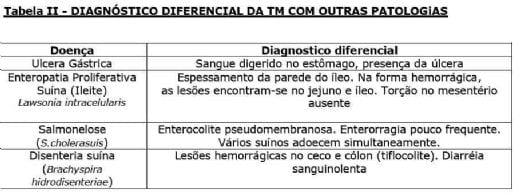 Torção do Mesentério - Image 3