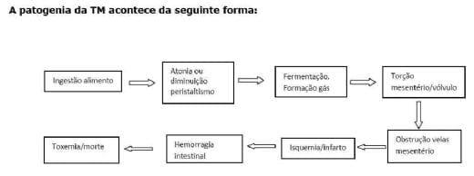 Torção do Mesentério - Image 2