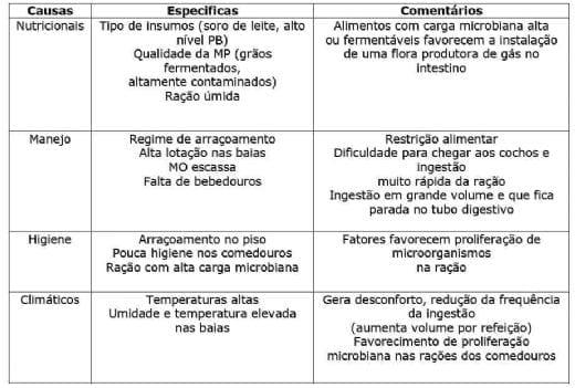 Torção do Mesentério - Image 1