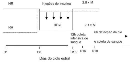 Manejo nutricional da futura reprodutora suína - Image 3