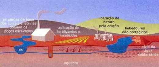 A Importância da Qualidade da Água na Pecuária de Leite - Image 2