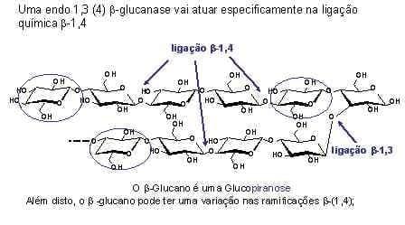 Combinar enzimas - Image 3