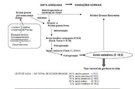 Nutrição da vaca em lactação e a qualidade do leite - Image 6