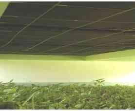 Análise de variáveis ambientais em modelos reduzidos de instalações agropecuárias com forro de resíduo de EVA - Image 2