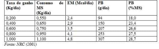 Impactos da fase de criação na vida produtiva futura - Image 2