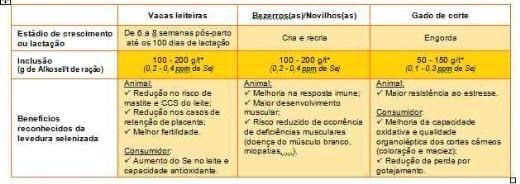 Selênio orgânico na nutrição de ruminantes: podemos esperar benefícios além da saúde animal? - Image 2