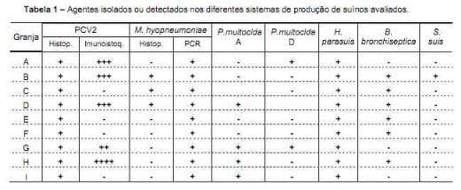 Demonstração da eficácia de uma única dose de Tulatromicina injetável (DRAXXIN ® ) no tratamento de doença respiratória de ocorrência natural em suínos criados em condições comerciais - Image 1