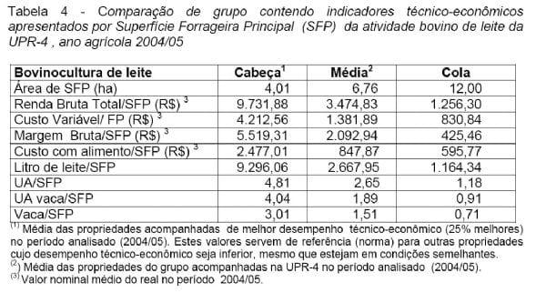 Análise Técnica e Econômica Comparativa de Sistemas de Produção de Leite e Atividades de Batata-Salsa e Maçã Cultivar Eva na Região de Canoinhas (UPR-4) - Image 7