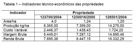 Análise Técnica e Econômica Comparativa de Sistemas de Produção de Leite e Atividades de Batata-Salsa e Maçã Cultivar Eva na Região de Canoinhas (UPR-4) - Image 13