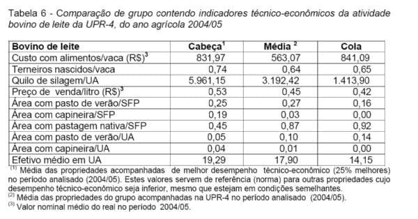 Análise Técnica e Econômica Comparativa de Sistemas de Produção de Leite e Atividades de Batata-Salsa e Maçã Cultivar Eva na Região de Canoinhas (UPR-4) - Image 9