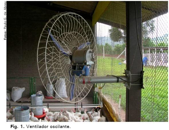 Avaliação de sistemas de ventilação (fixo e oscilante) e materiais de cama (casca de arroz e palhada de soja) na produção de frangos de corte - Image 1