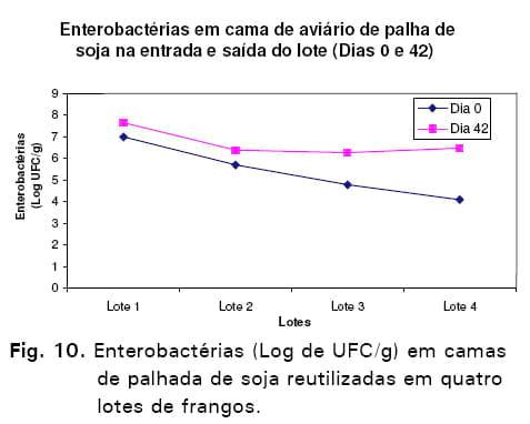 Avaliação de sistemas de ventilação (fixo e oscilante) e materiais de cama (casca de arroz e palhada de soja) na produção de frangos de corte - Image 37