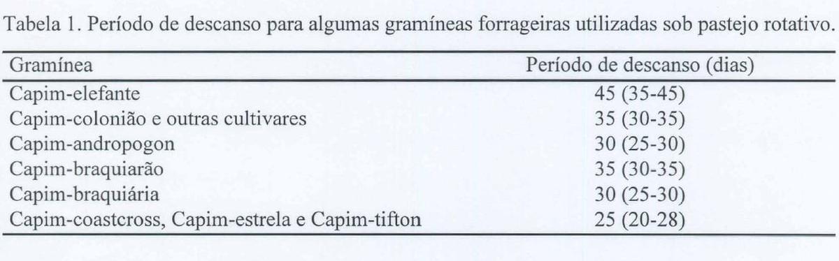 Produção intensiva de carne bovina em pastagens - Image 1
