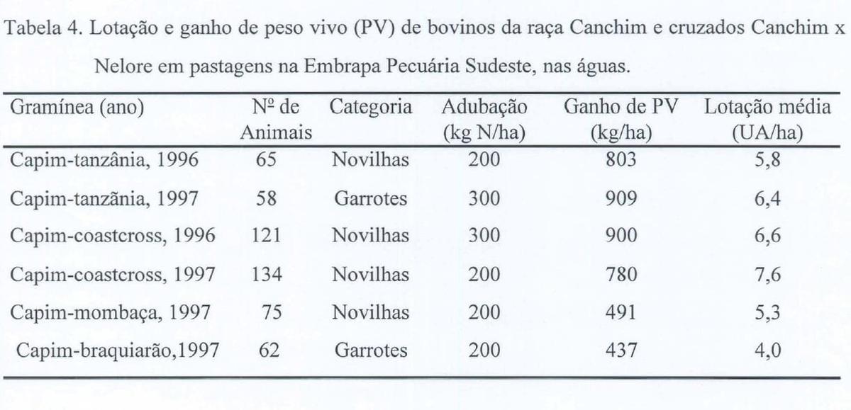 Produção intensiva de carne bovina em pastagens - Image 7