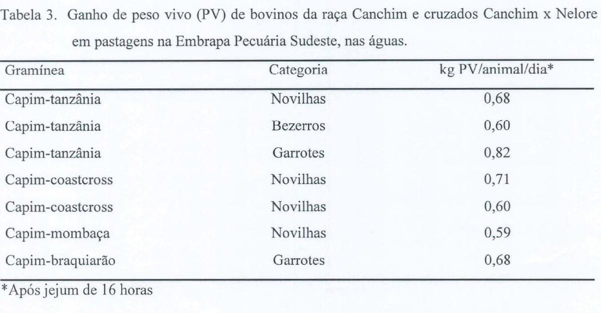 Produção intensiva de carne bovina em pastagens - Image 5