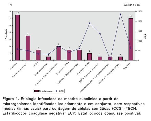 Melhoria da qualidade do leite em propriedade leiteira: uma abordagem inicial - Image 1