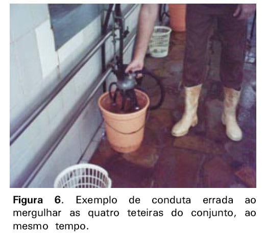 Boas práticas de ordenha - Image 11