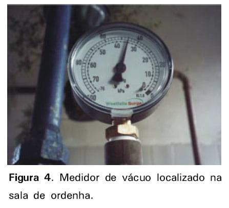 Boas práticas de ordenha - Image 8