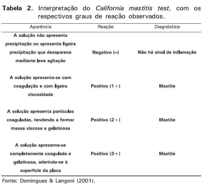 Boas práticas de ordenha - Image 6