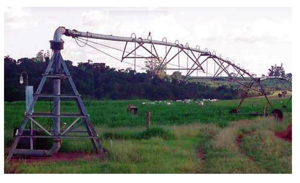 Irrigação de pastagens formadas por gramíneas forrageiras tropicais - Image 1