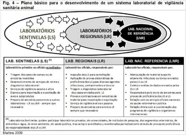 Impacto econômico da influenza aviar no setor avícola - Image 5
