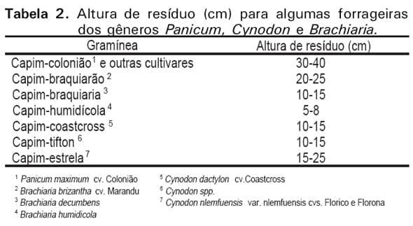Manejo e utilização de plantas forrageiras dos gêneros Panicum, Brachiaria e Cynodon - Image 5