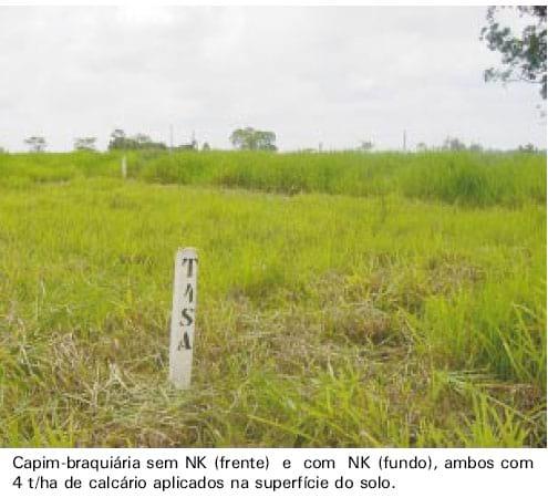 Calagem em pastagem de Brachiaria decumbens recuperada com adubação nitrogenada em cobertura - Image 1