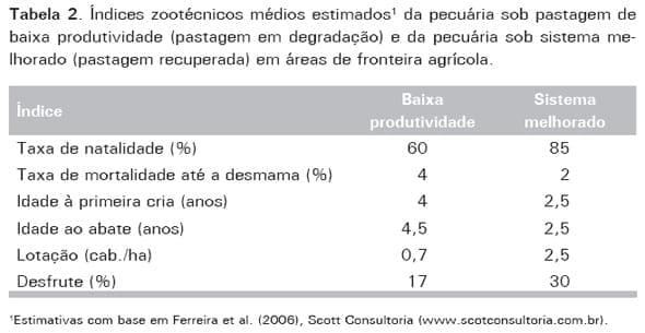 Produção de Bovinos a Pasto na Fronteira Agrícola - Image 2